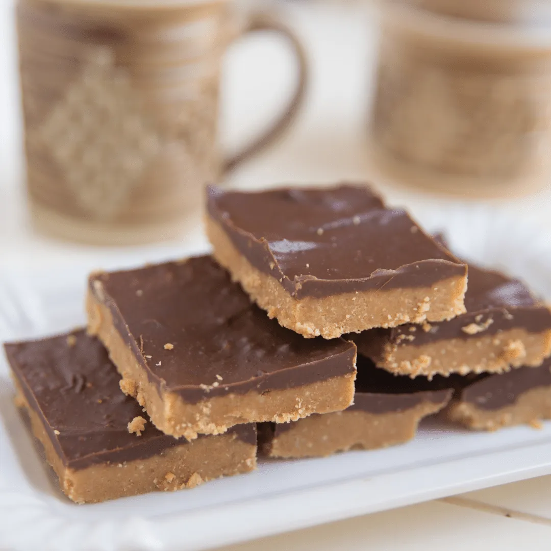Vegan Peanut Butter Protein Bars Recipe by Veggie Vision | Veggie Vision