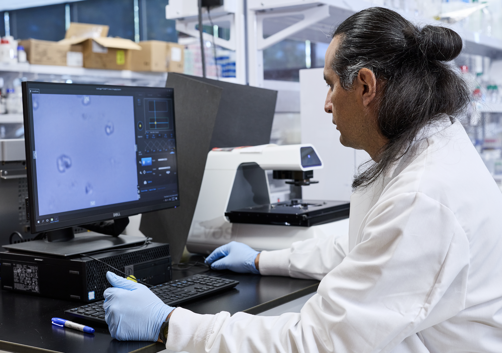 Scientist in a lab coat and blue gloves observing cellular images on a computer screen next to a microscope.