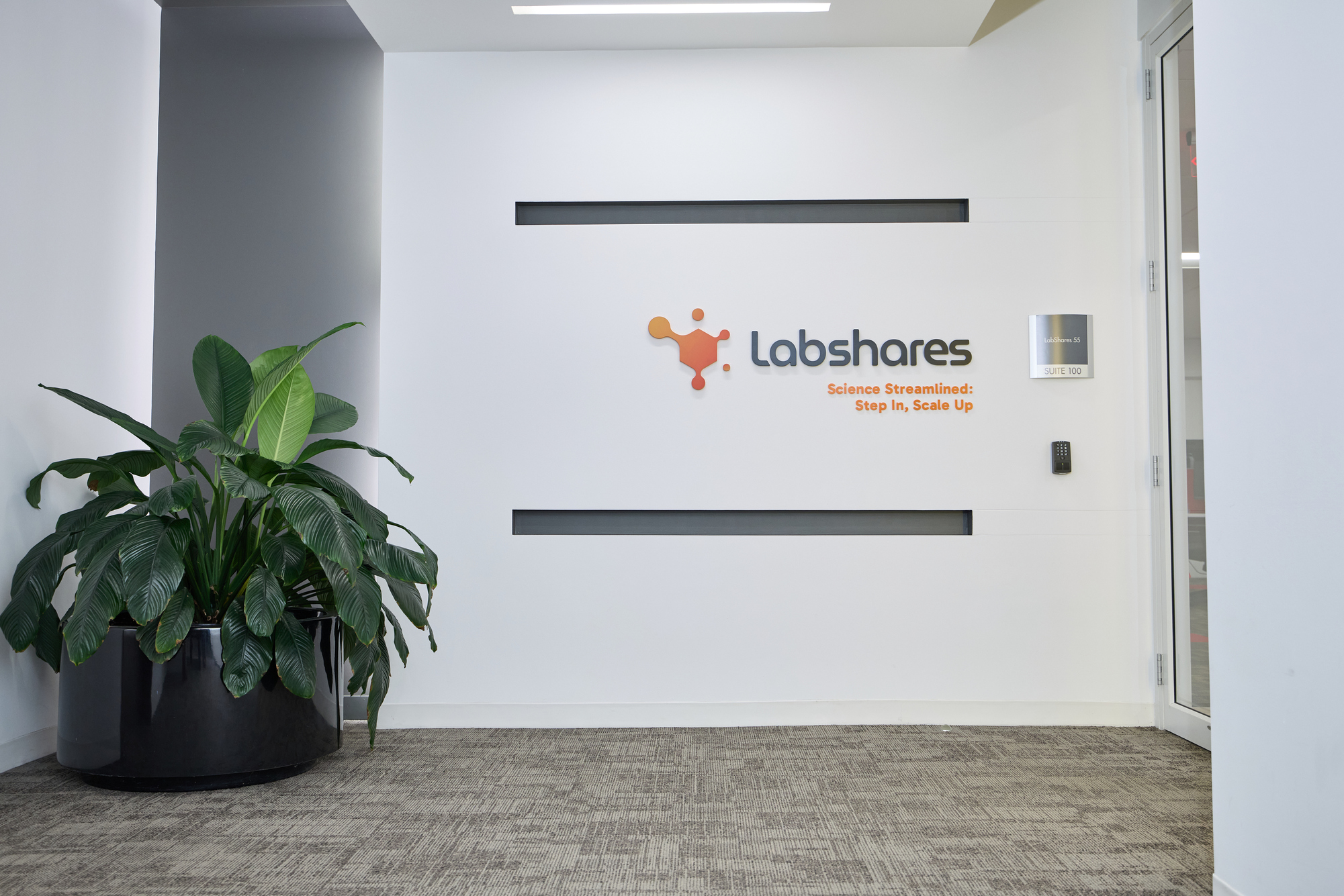 Why Labshares is Thriving in a Tough Environment