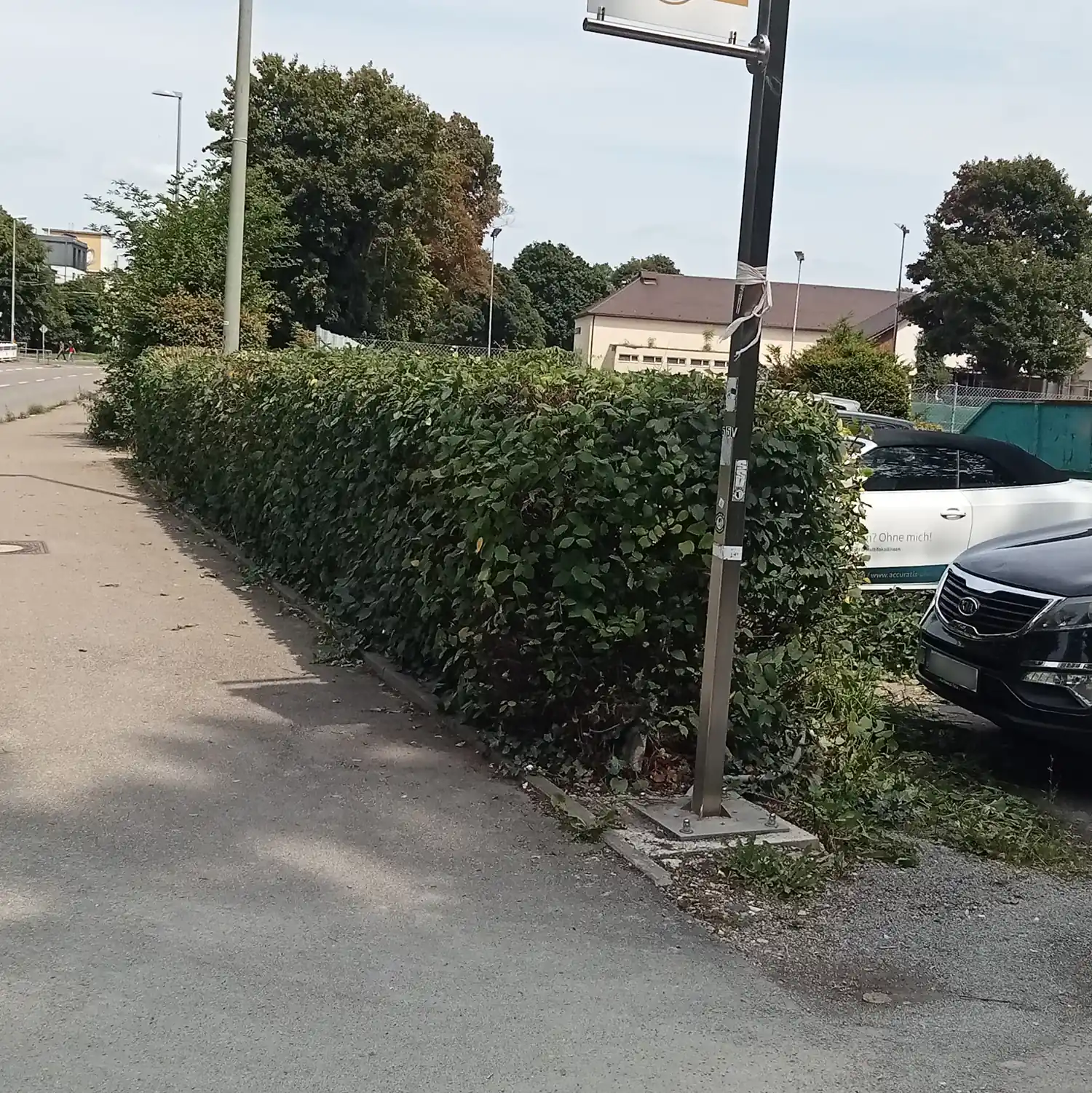 Sauber geschnittene Hecken nach der Gartenpflege durch Lasser Gartenbau