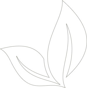 Leaf Shape Image