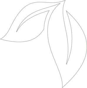 Leaf Shape Image