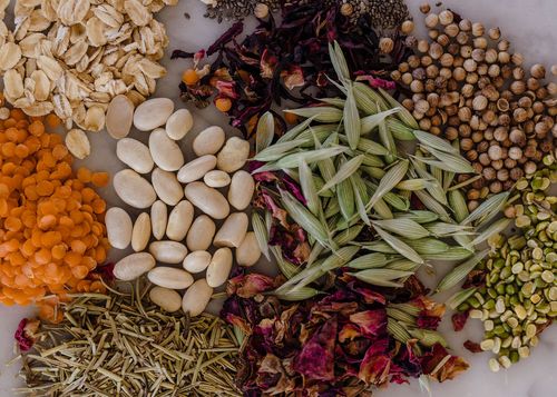 Service Details Main Image