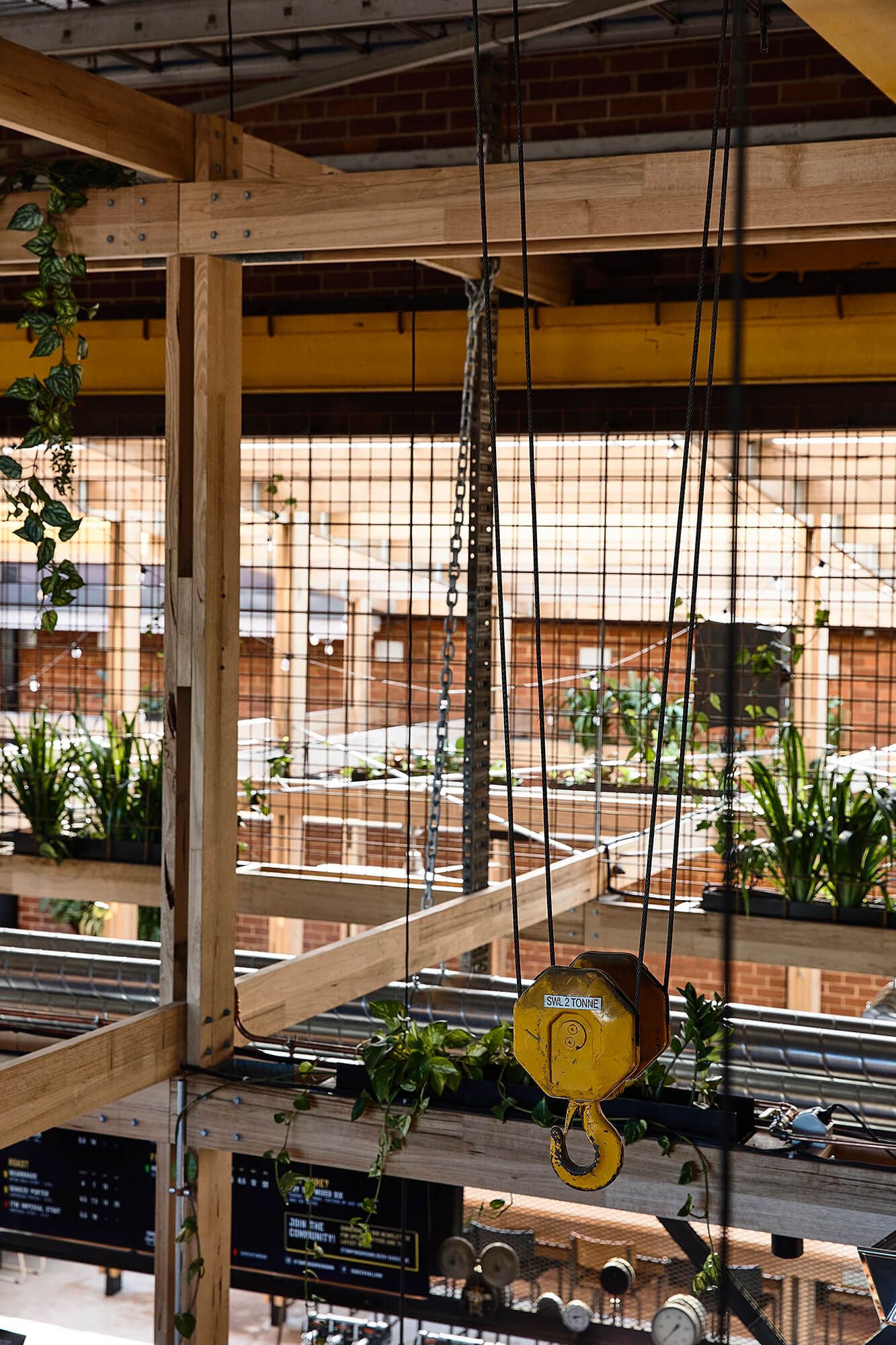 Industrial Yellow Crane Hook Suspended Amidst Timber Beams Hanging Greenery and Steel Mesh Screening in Stomping Ground Morris Moor. Photo by Derek Swalwell.