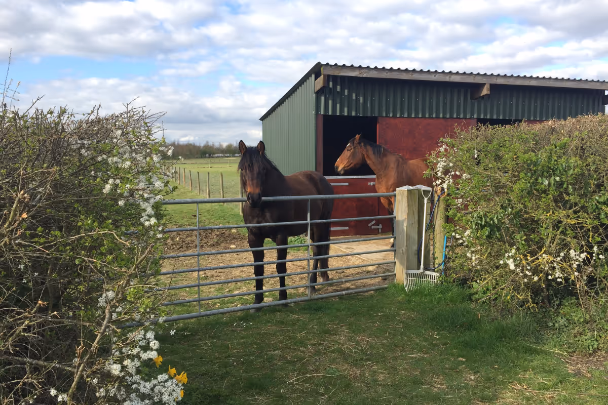 Tibike's owner Gerhard and some of his rental bikes