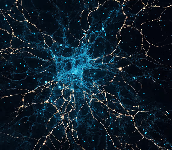 Neural network representing autoimmune disorder