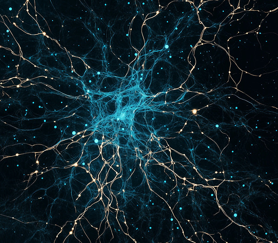 Neural network representing autoimmune disorder