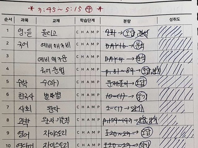 과목별 교재와 분량을 적고 성취도를 표시한 일간 플래너