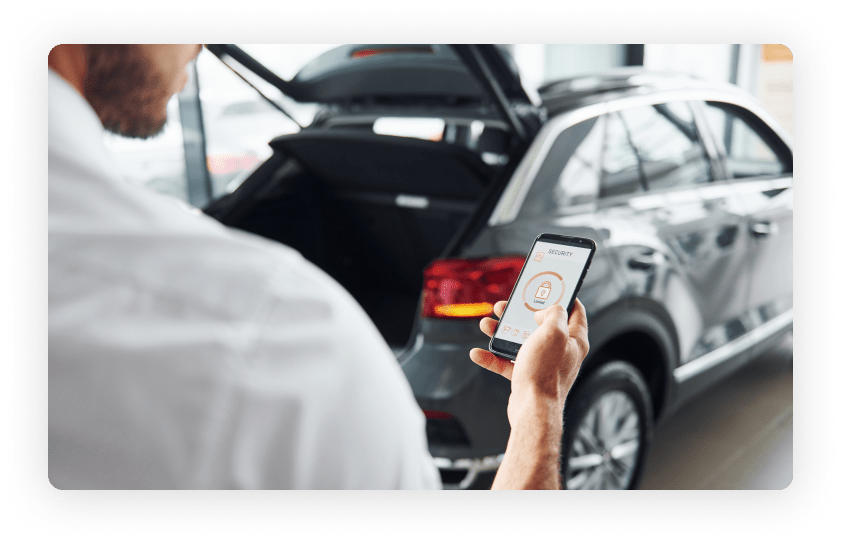 Consultancy for a Connected Car Platform Company