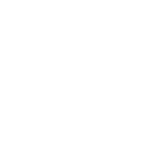 2020INC logo