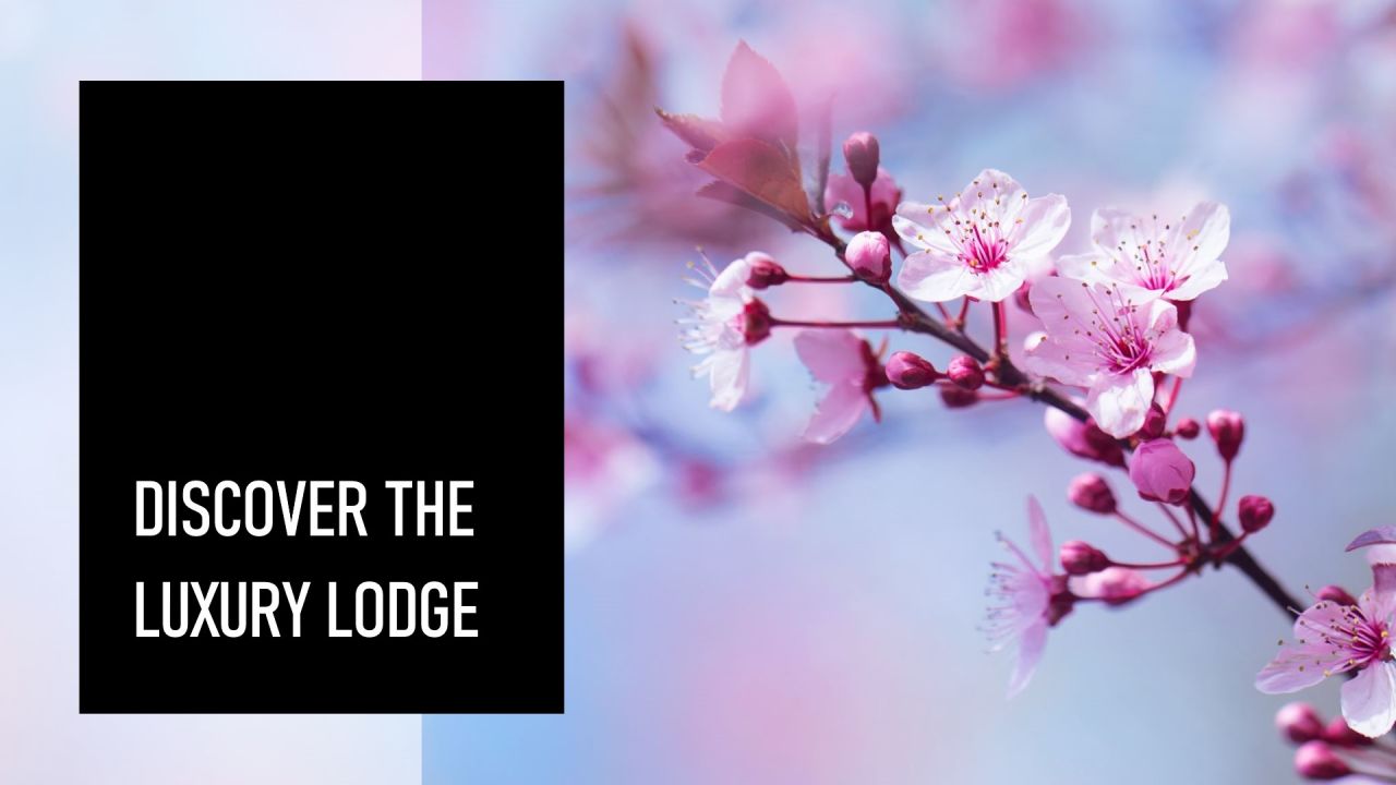 Discover the Luxury Lodge at Scimitar Ridge Ranch