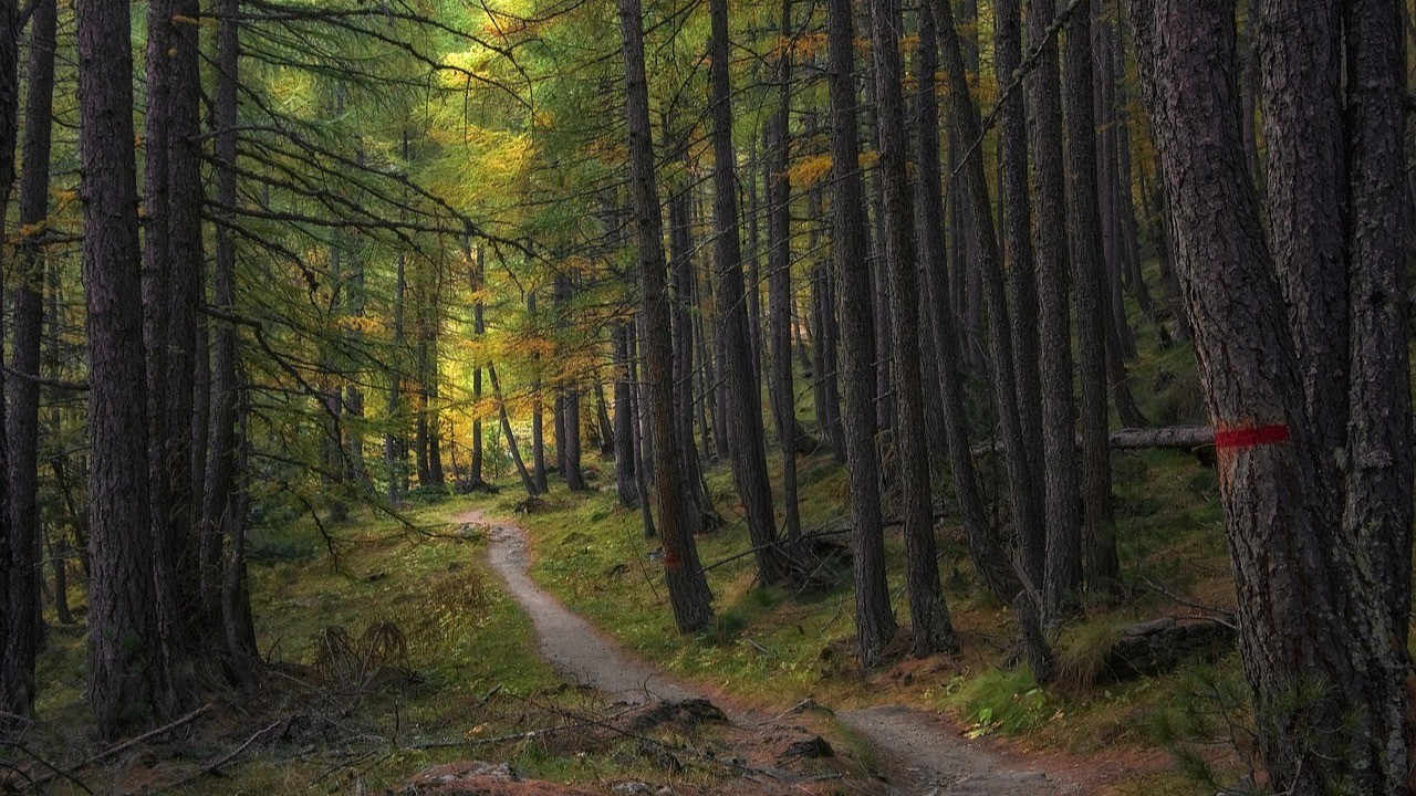 Nature Retreat Redefined: Unplug at Scimitar Ridge Ranch