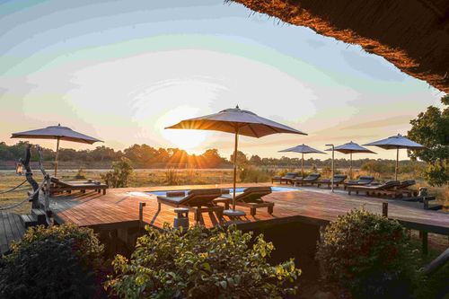 Ausschnitt eines Krokodils in Sambia