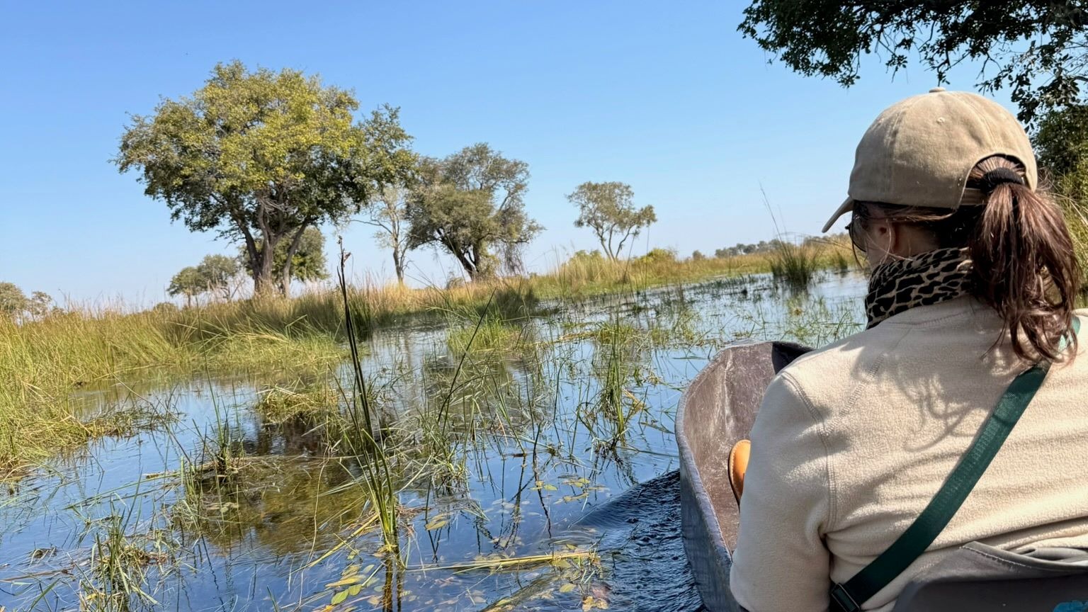 Eine Frau von hinten in einem Mokoro im Wasser des Okavango Deltas