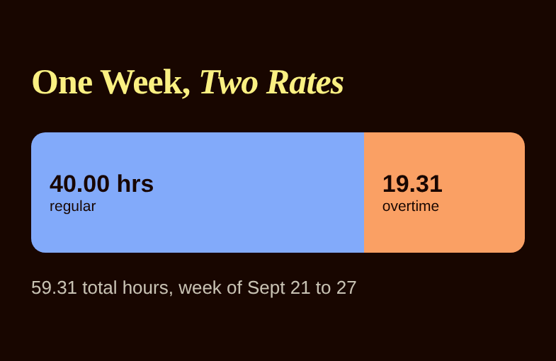 Bar showing 40 regular hours and 19.31 overtime hours in one week