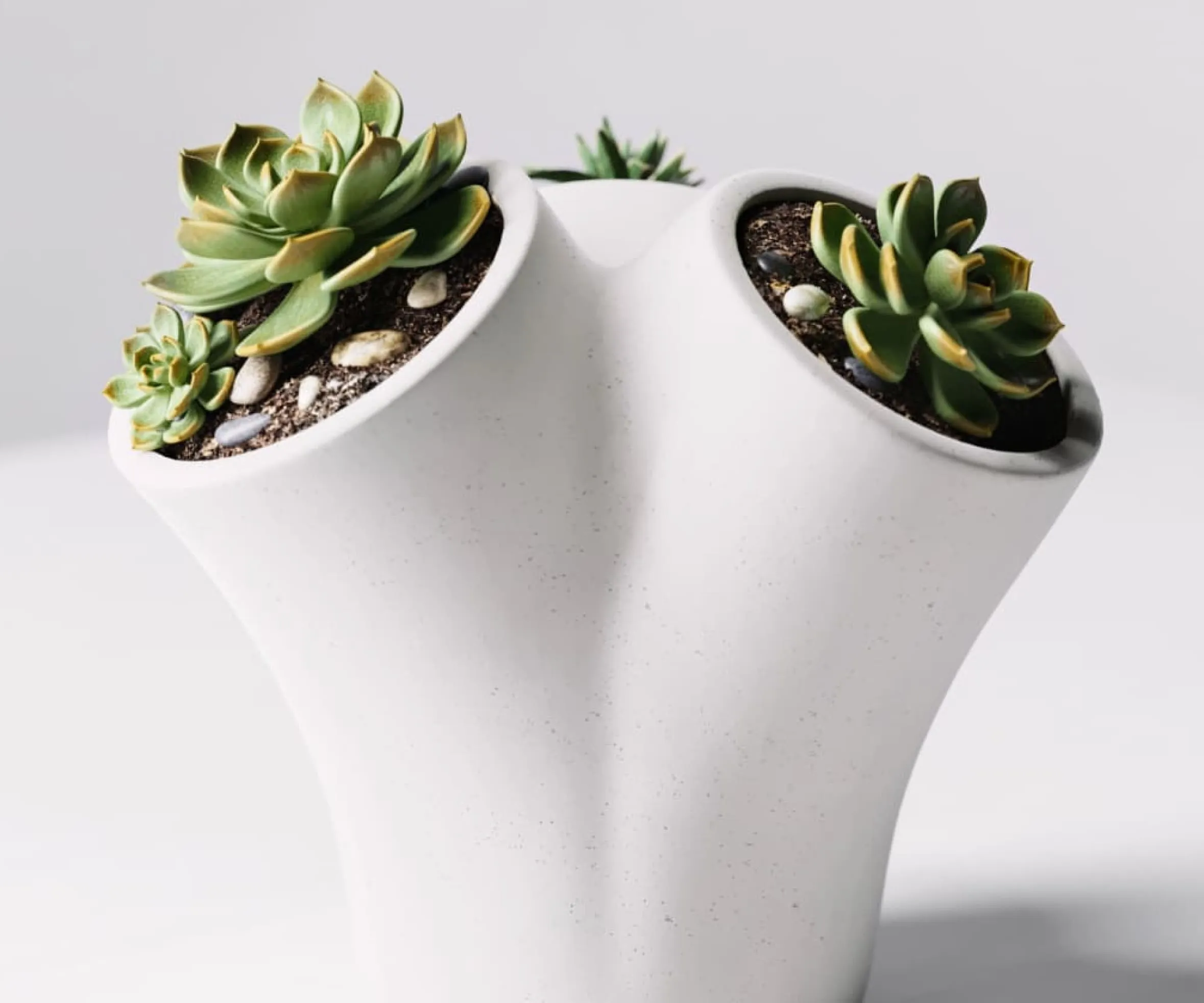 Realistic render of the same dual-planter with green succulents and pebbles — showcasing the final output after Product 3D Modeling Services refinement.