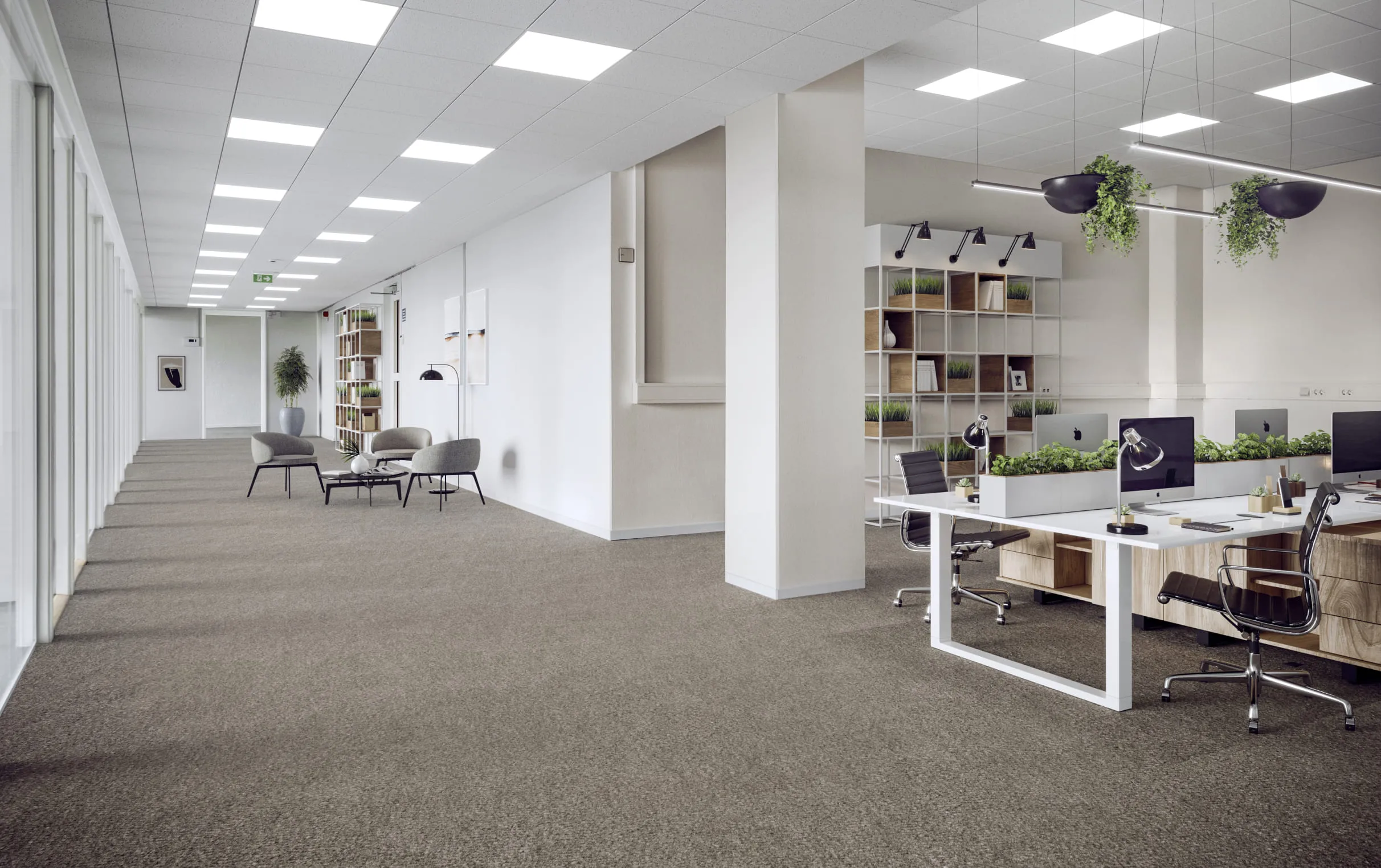 The illustration of real estate digital staging. Modern office interior, featuring an open workspace with clean white desks, ergonomic chairs, shelving units with greenery, and a cozy seating area along a bright hallway.