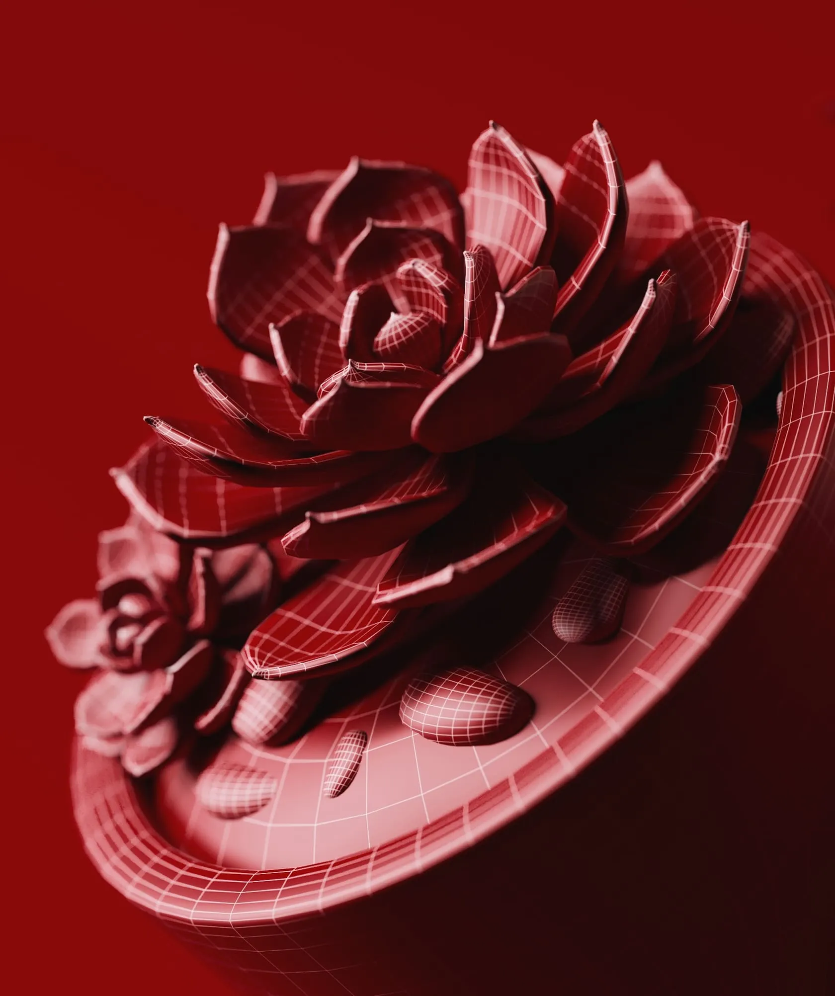 A close-up 3D wireframe model of a blooming succulent flower in a pot — demonstrating intricate detailing through Product 3D Modeling Services.