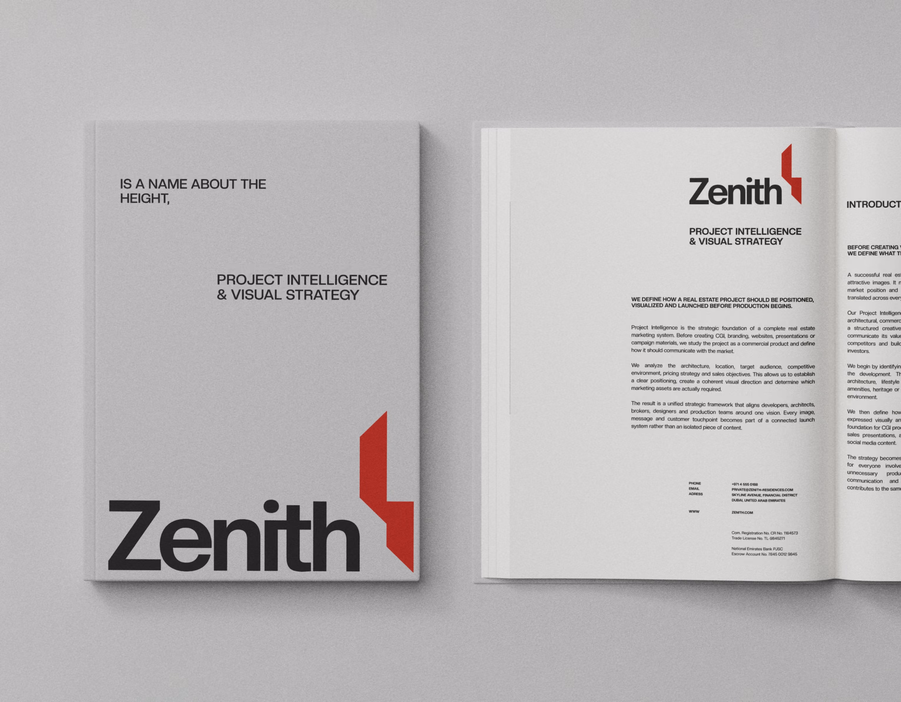 Closed and opened Zenith project intelligence and visual strategy book with text and red logo on gray background.