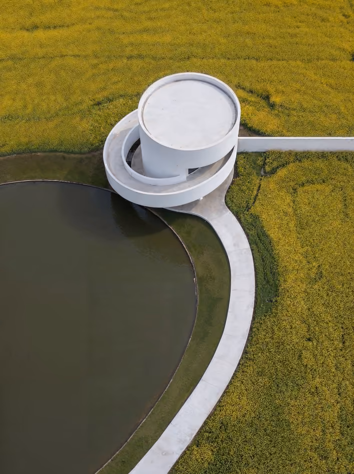 Aerial view of a modern white circular building with a spiraling ramp beside a body of water, surrounded by yellow blooming fields and a curved concrete path.