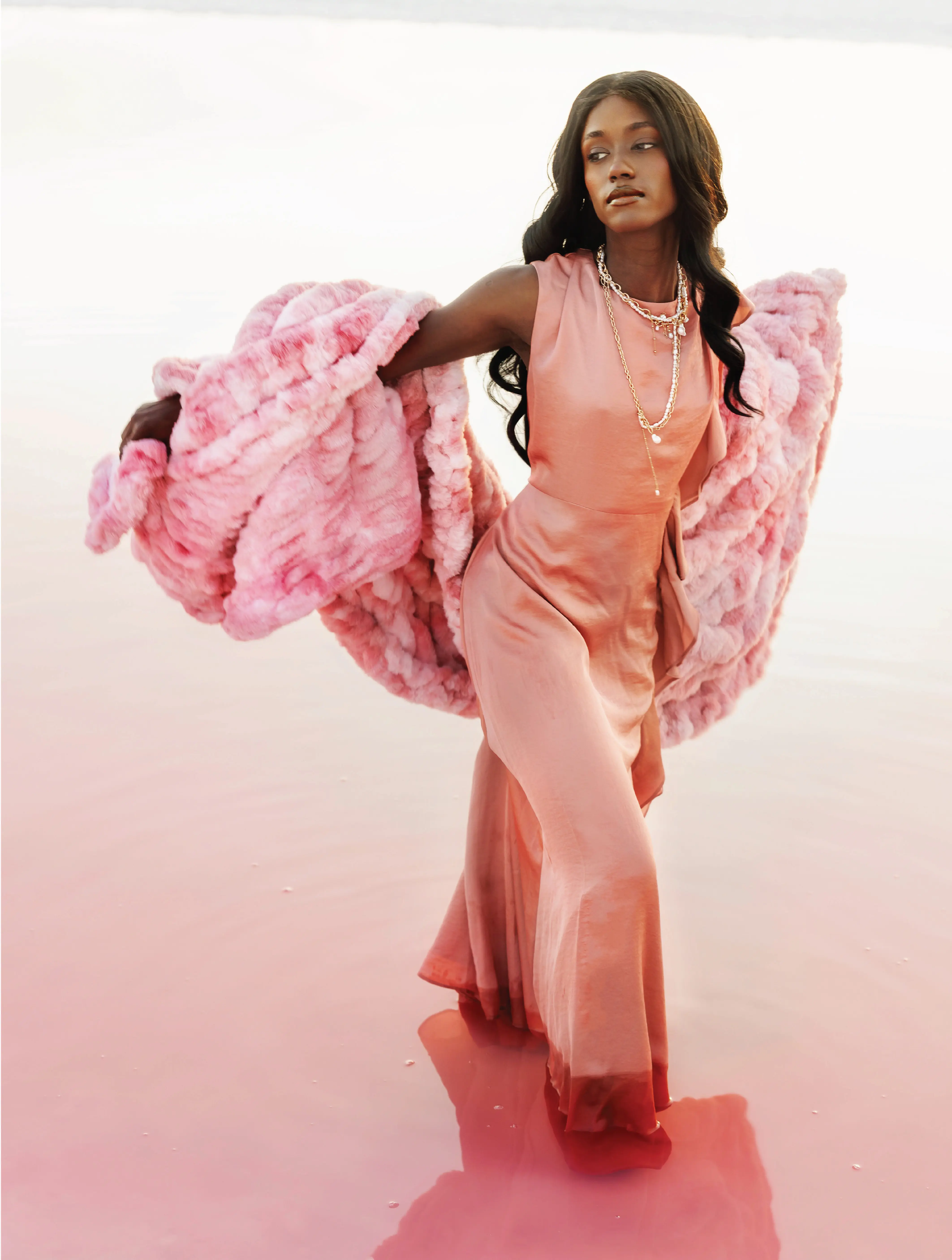 La Vie En Rose