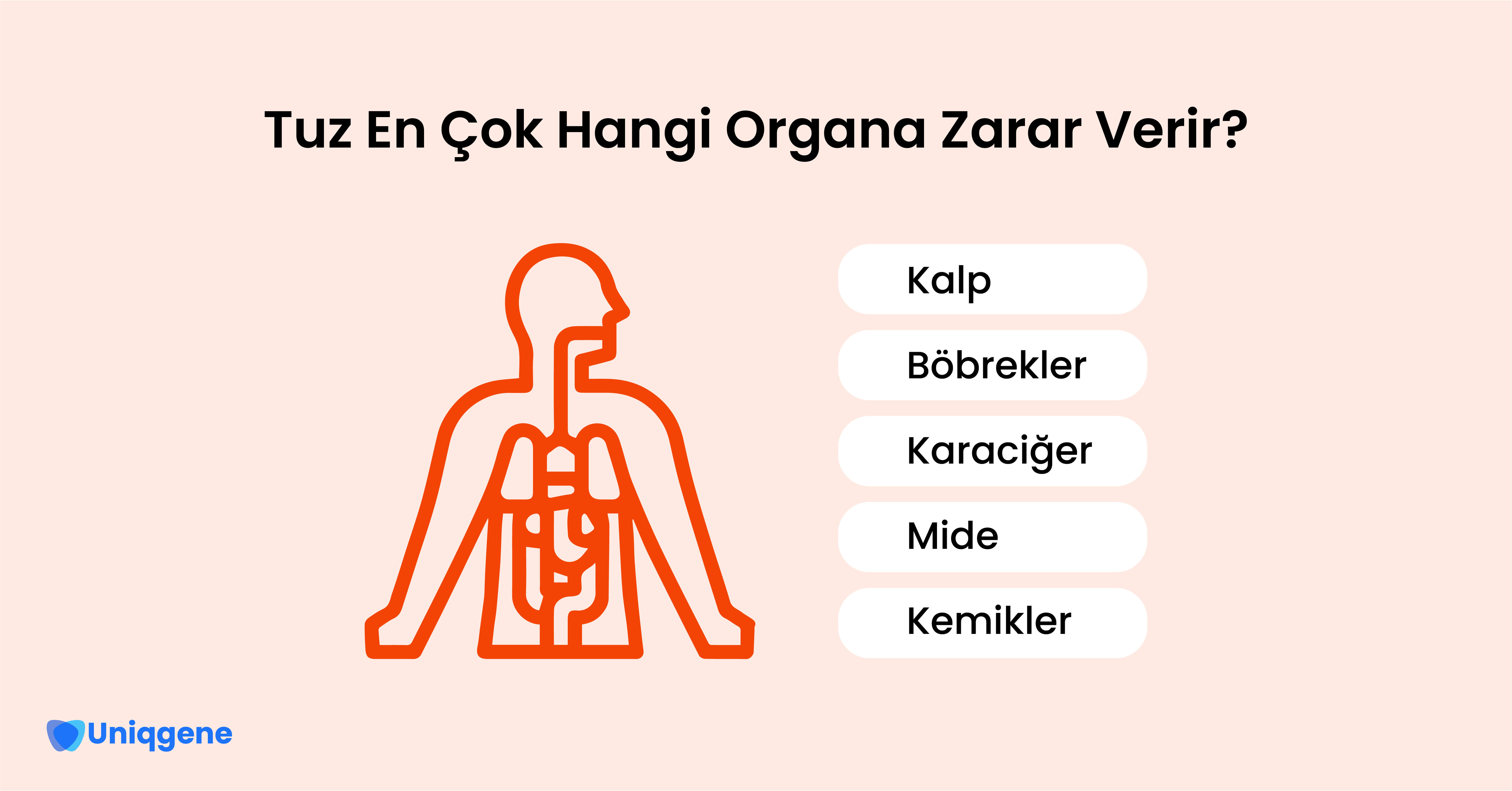 Tuz En Çok Hangi Organa Zarar Verir?