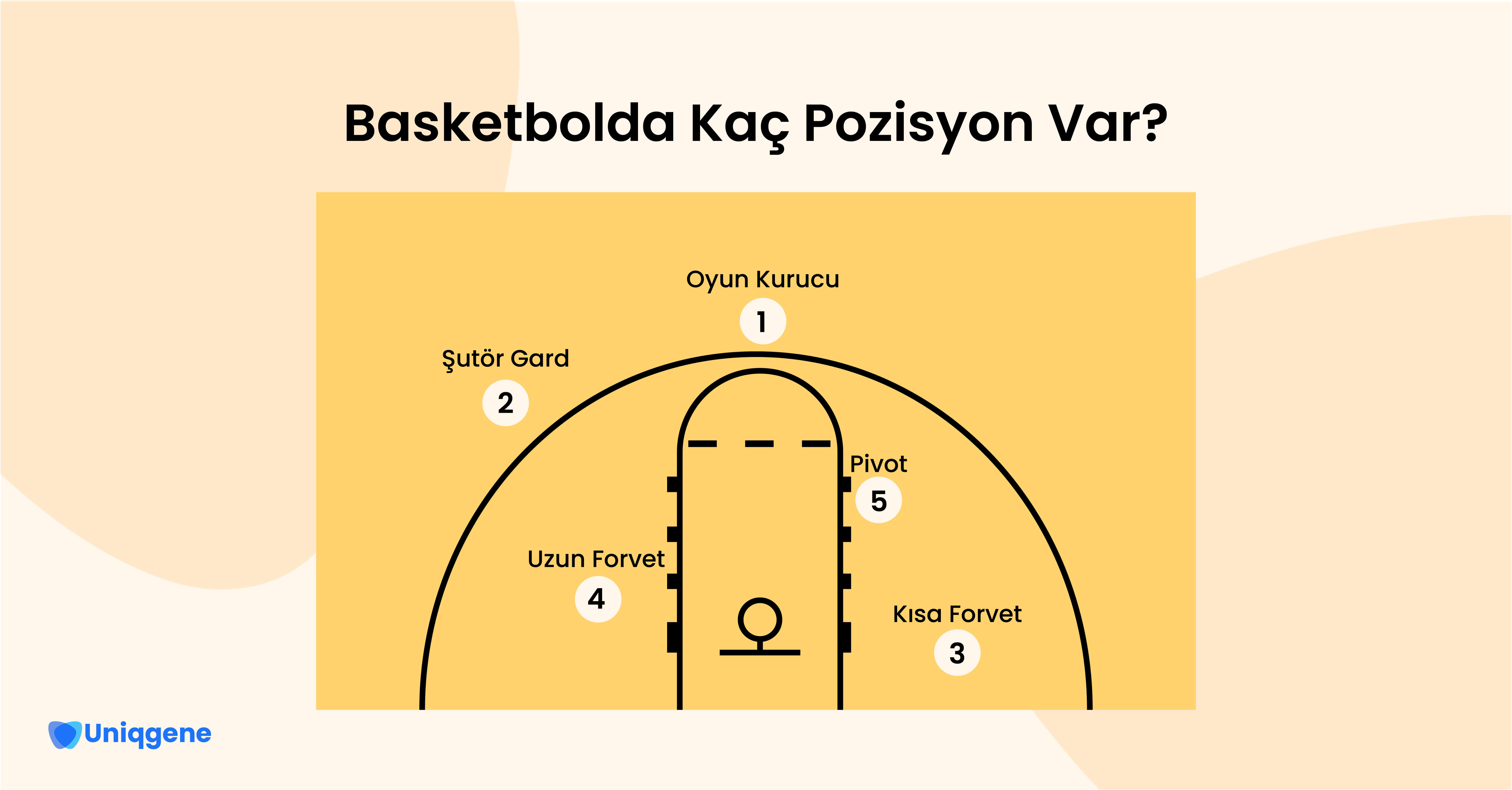 Basketbolda Kaç Pozisyon Var?