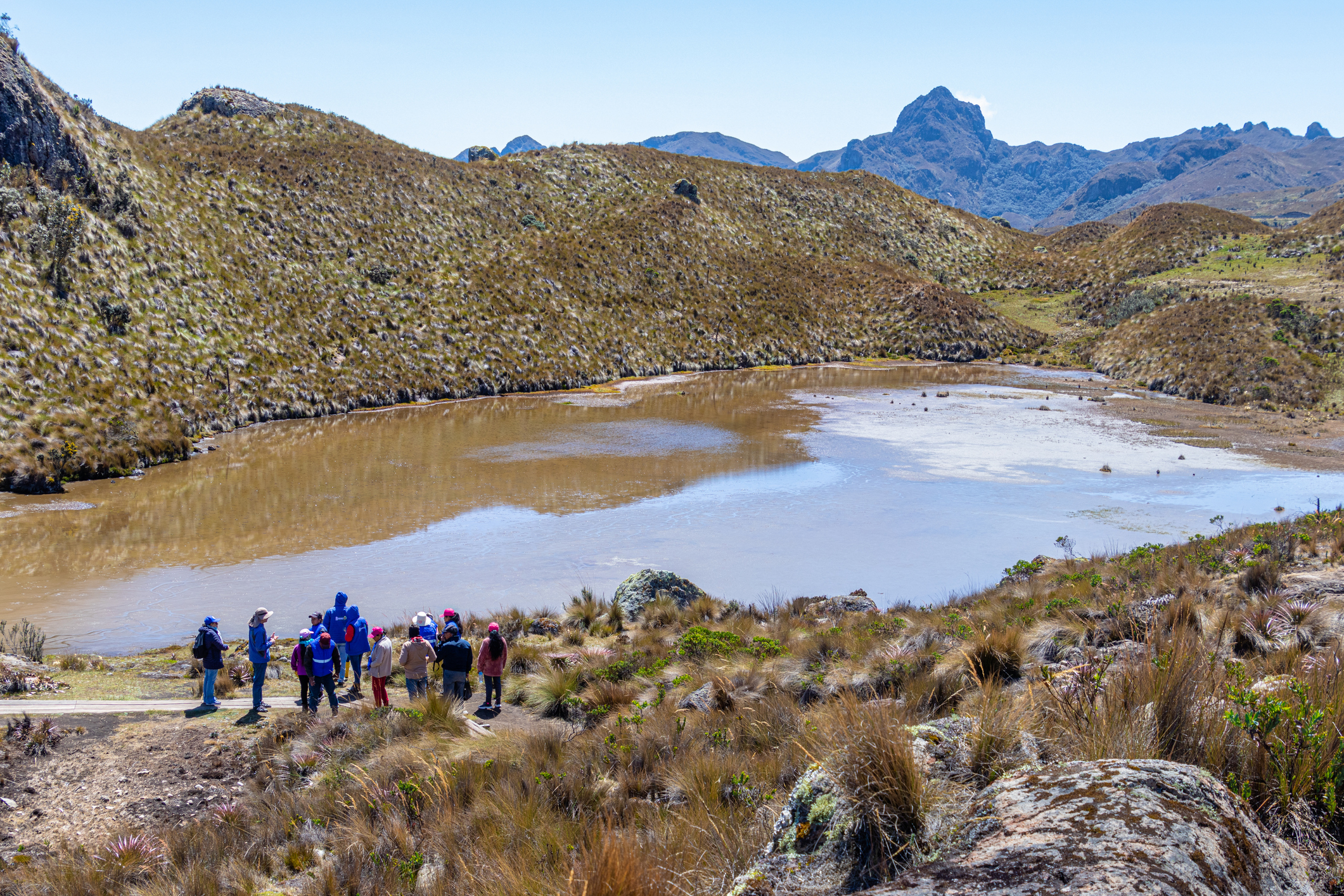 The “Anti-Dashboard” Blueprint: Designing Only the Metrics That Drive Action