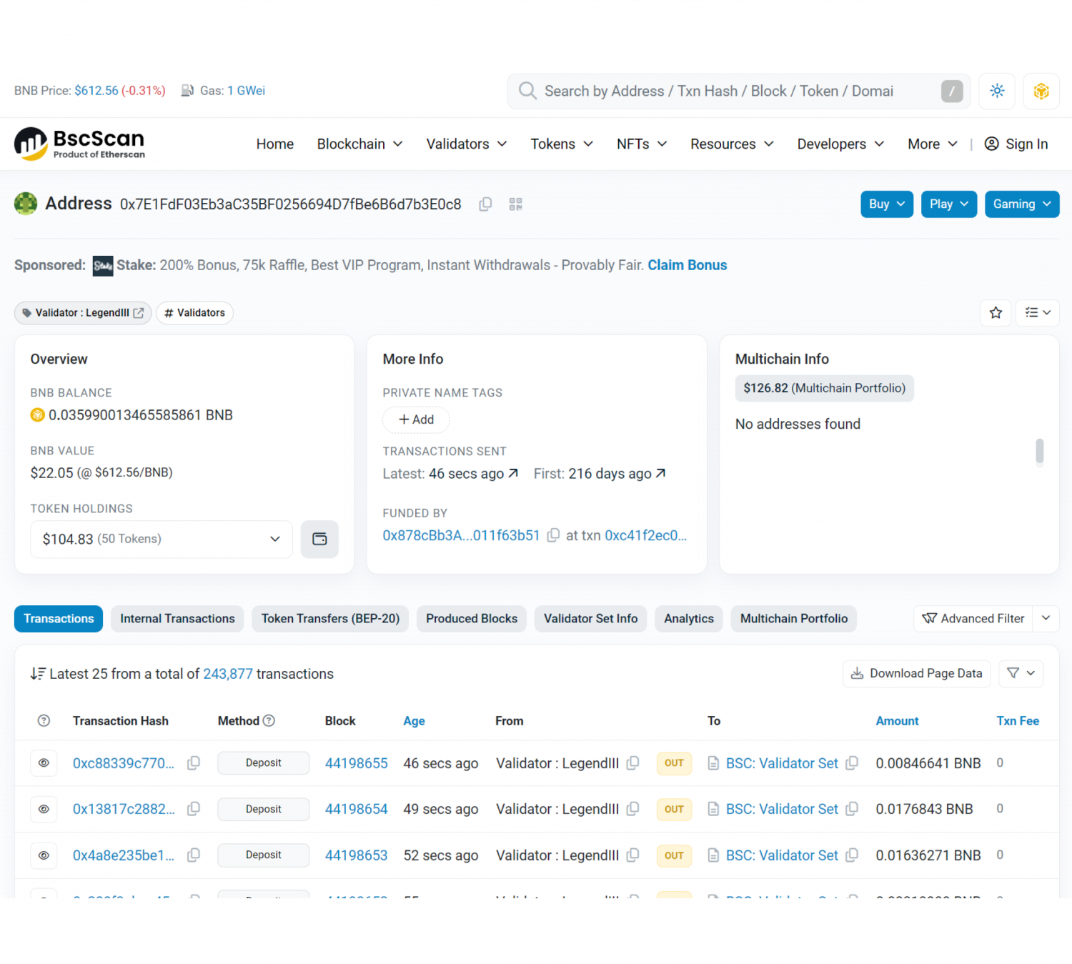 wallet information on BscScan