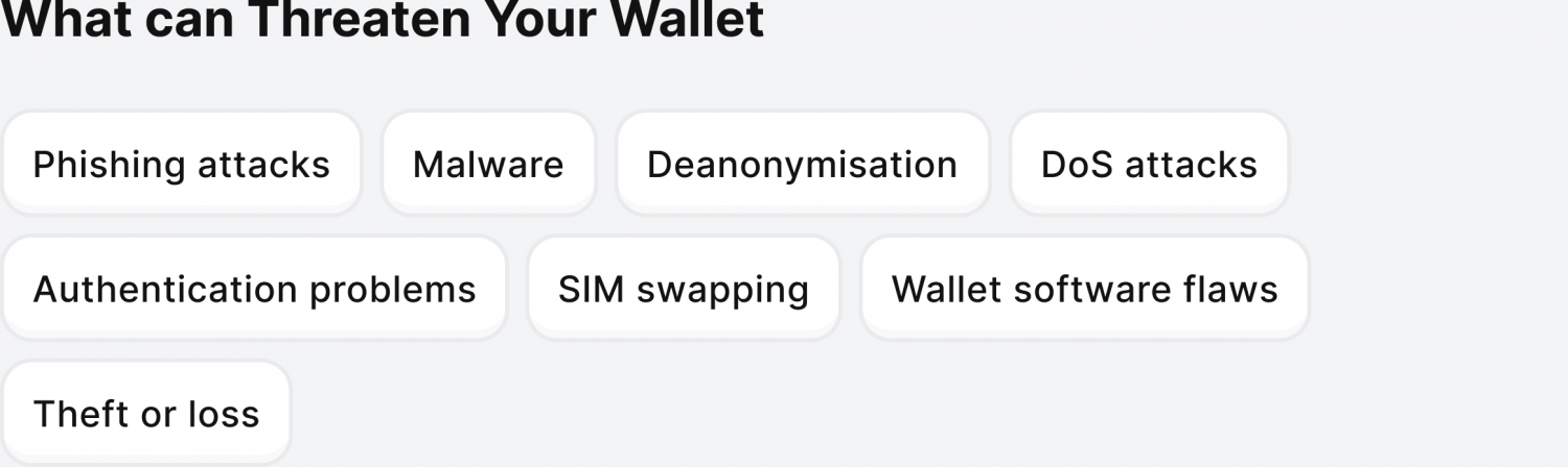 Possible wallet threats