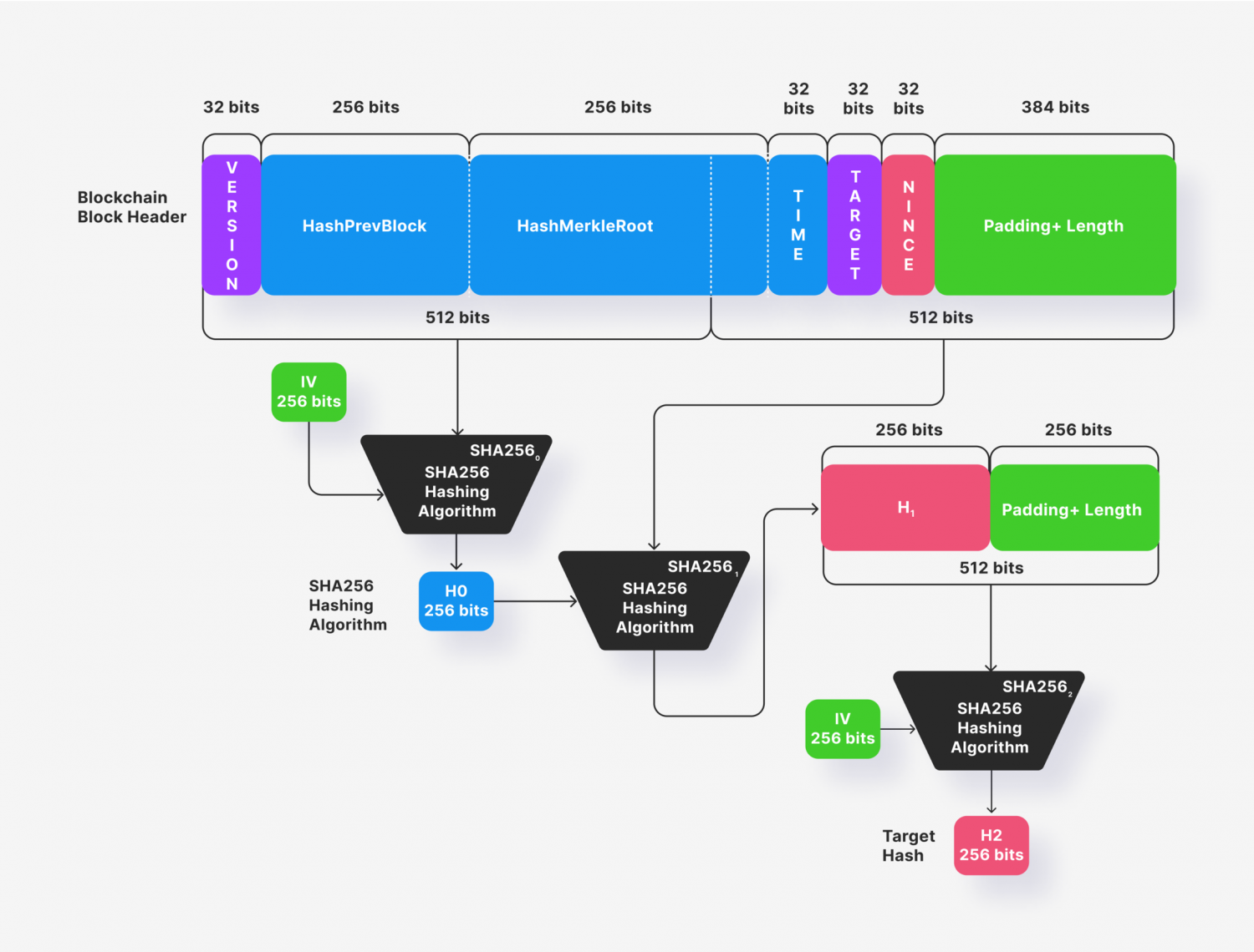The bitcoin block header hashing algorithm