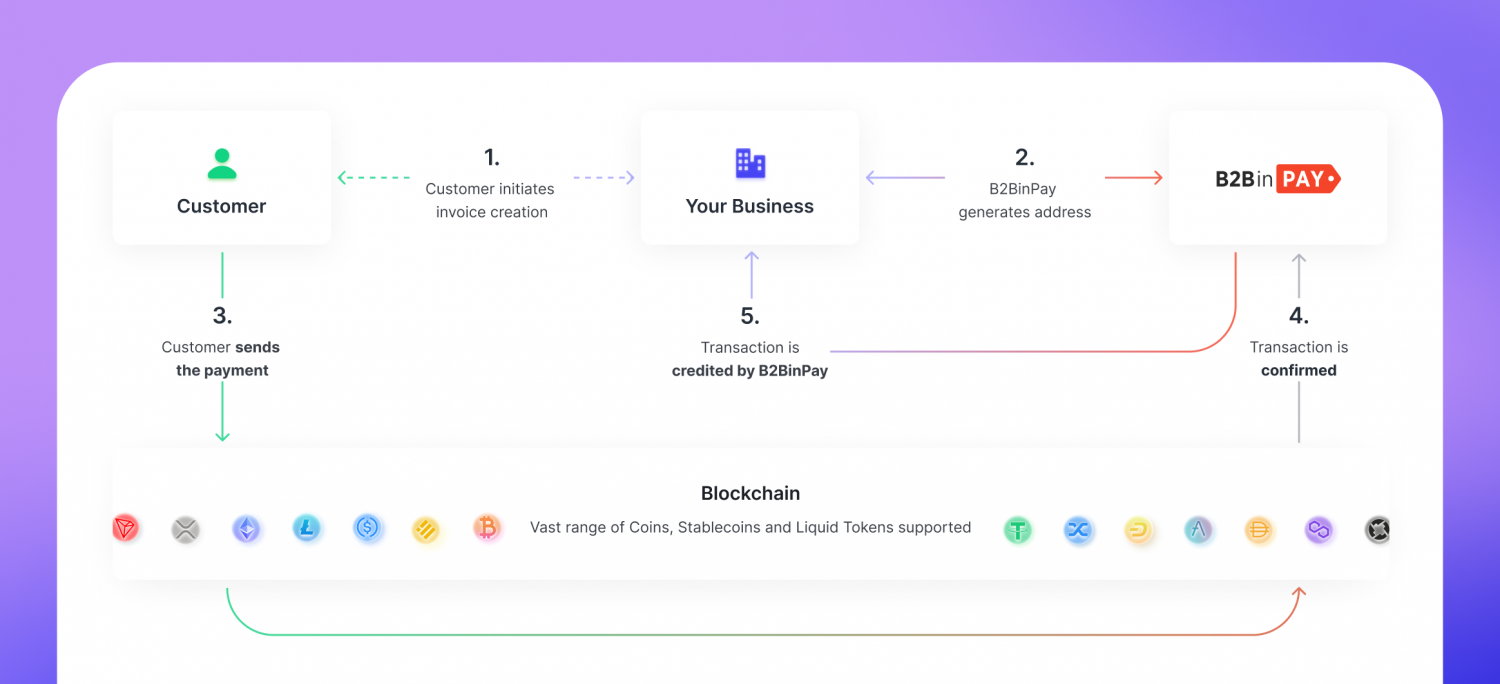 B2BinPay Enterprise Model Guide. Wallets for Business