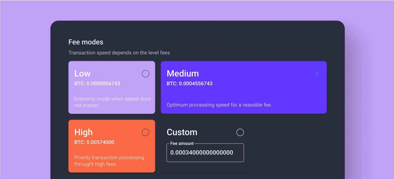 B2BinPay Enterprise Model Guide. Wallets for Business