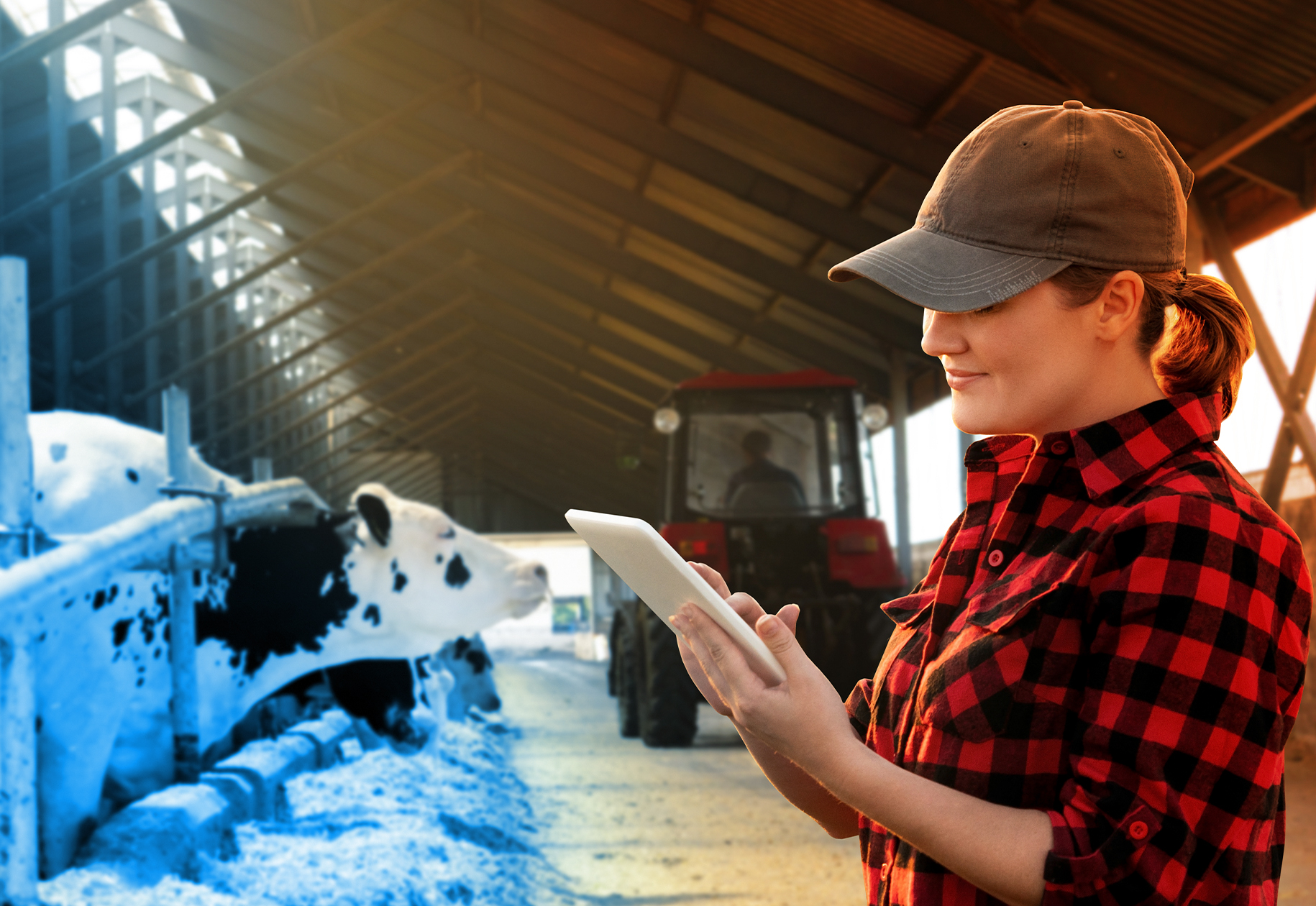 Contact center solutions 