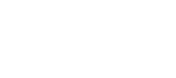 Tigrz logo