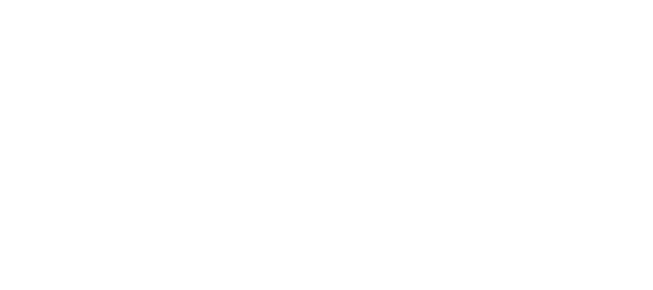 Skaleet logo