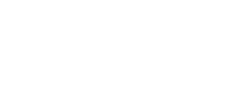 Singular logo