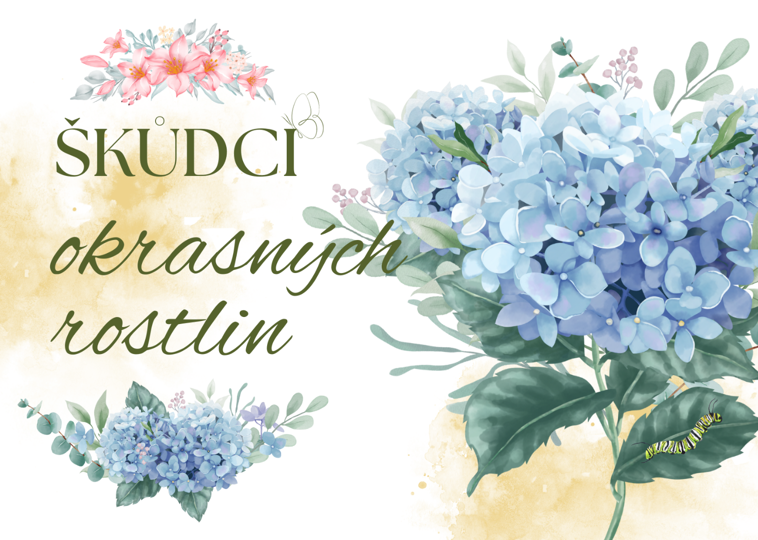 Štítenky a puklice - škůdci okrasných rostlin