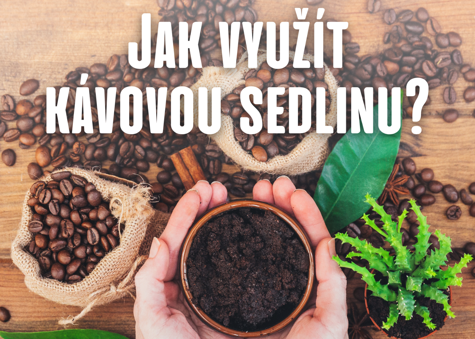 Kávová sedlina do koše nepatří