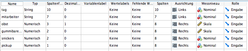 Datensturktur in SPSS - vorher