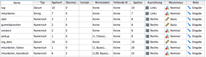 Datensturktur in SPSS - nachher