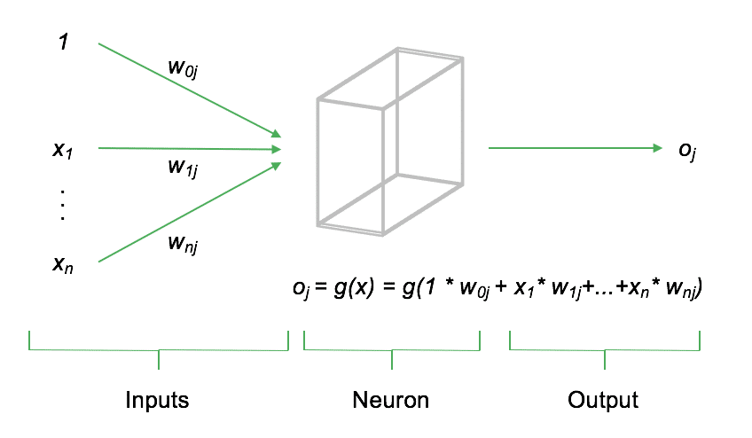 Neuron