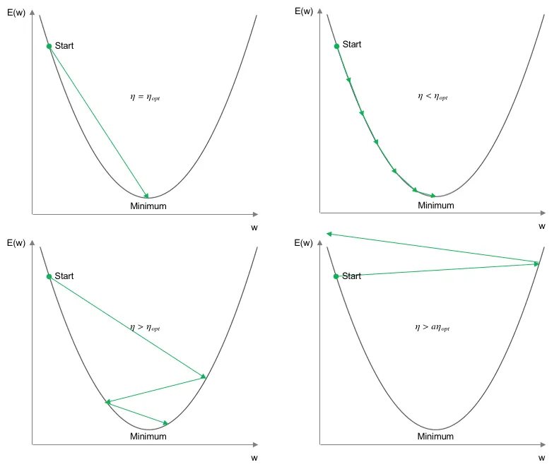 Learning Rate