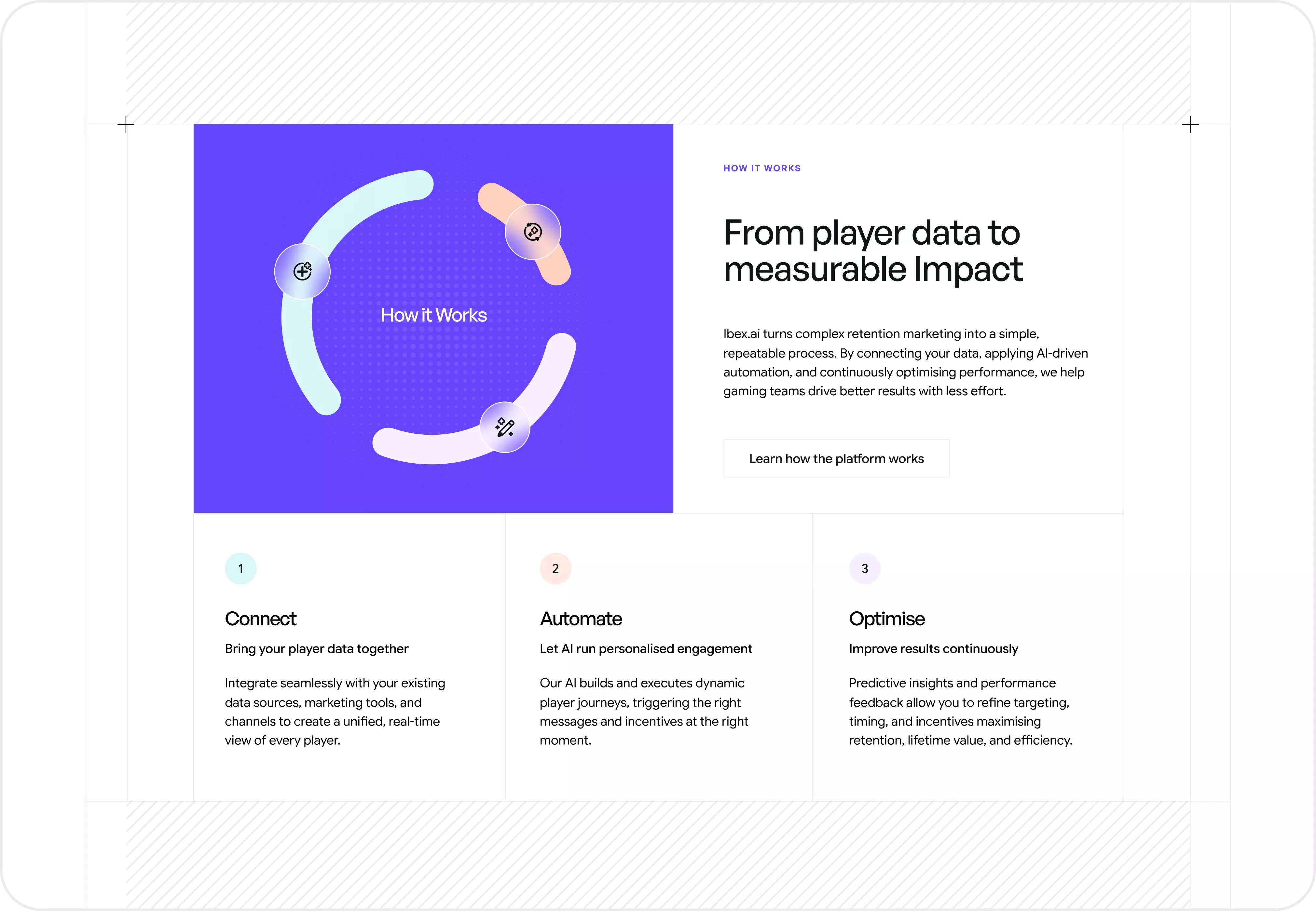 Ibex Webflow Website