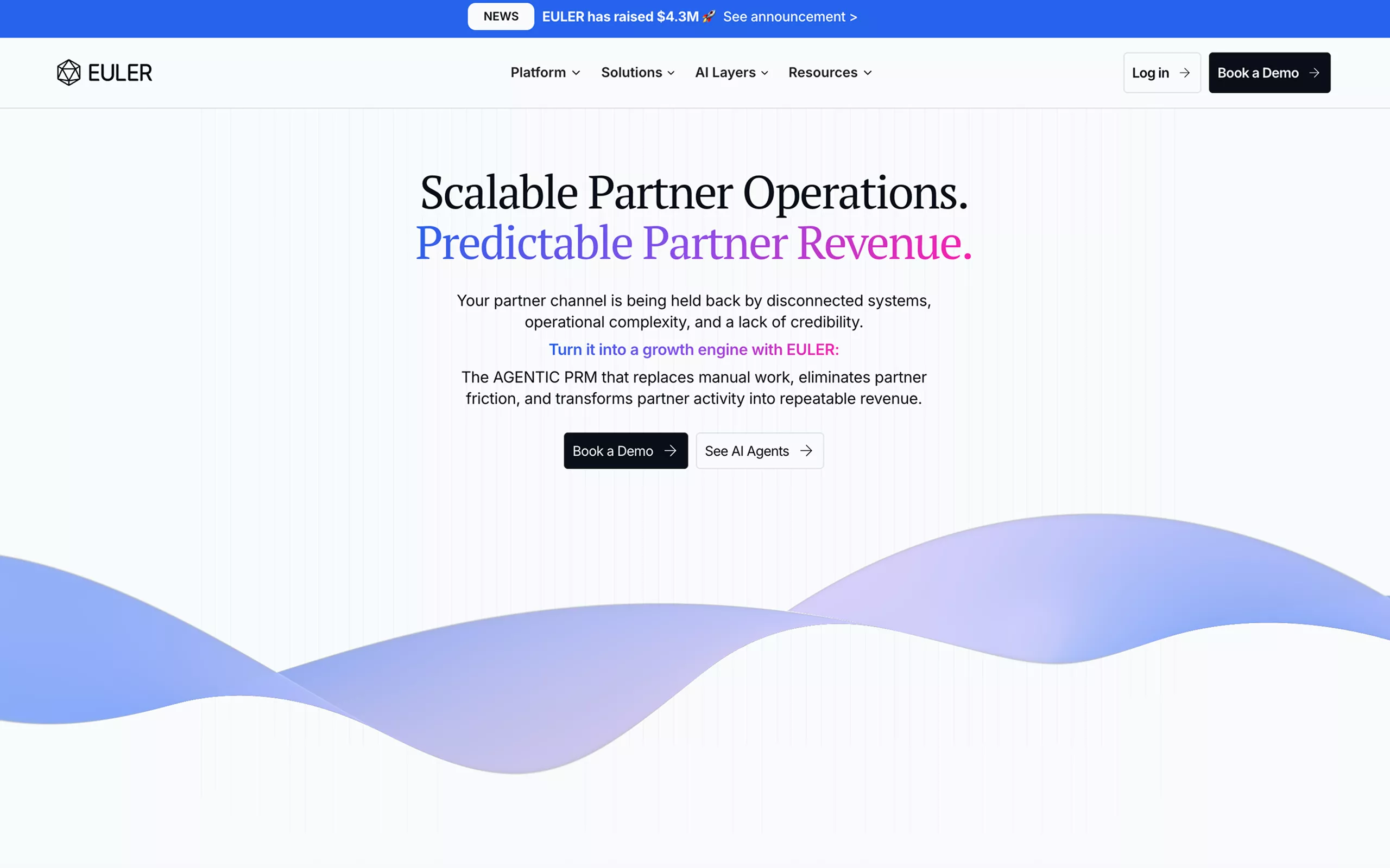 Euler Webflow Website