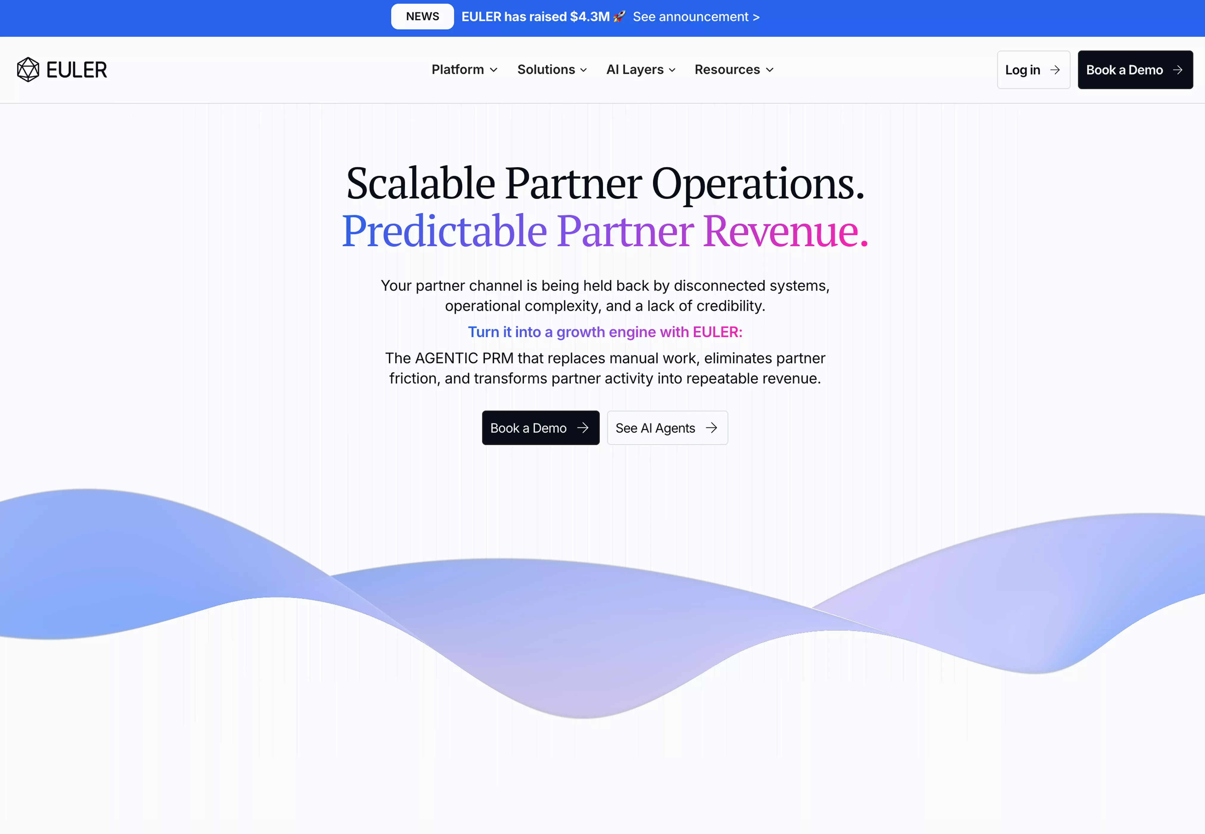 Euler Webflow Website