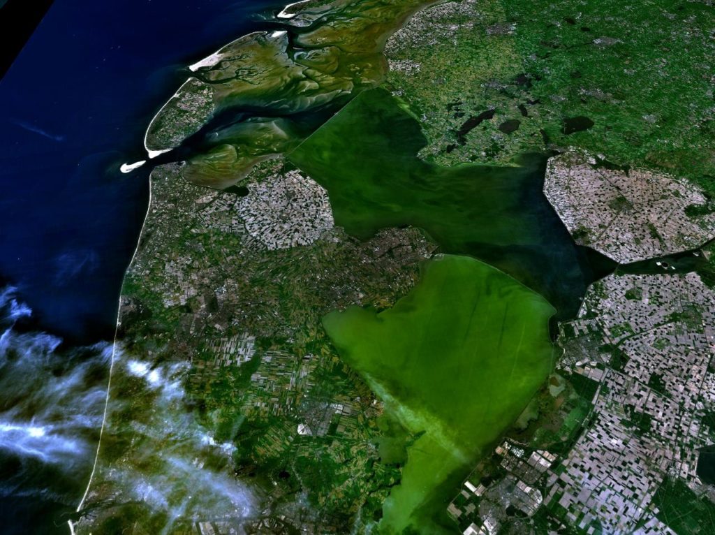 Bambuu is genomineerd voor de Ondernemersverkiezing Noord-Holland!