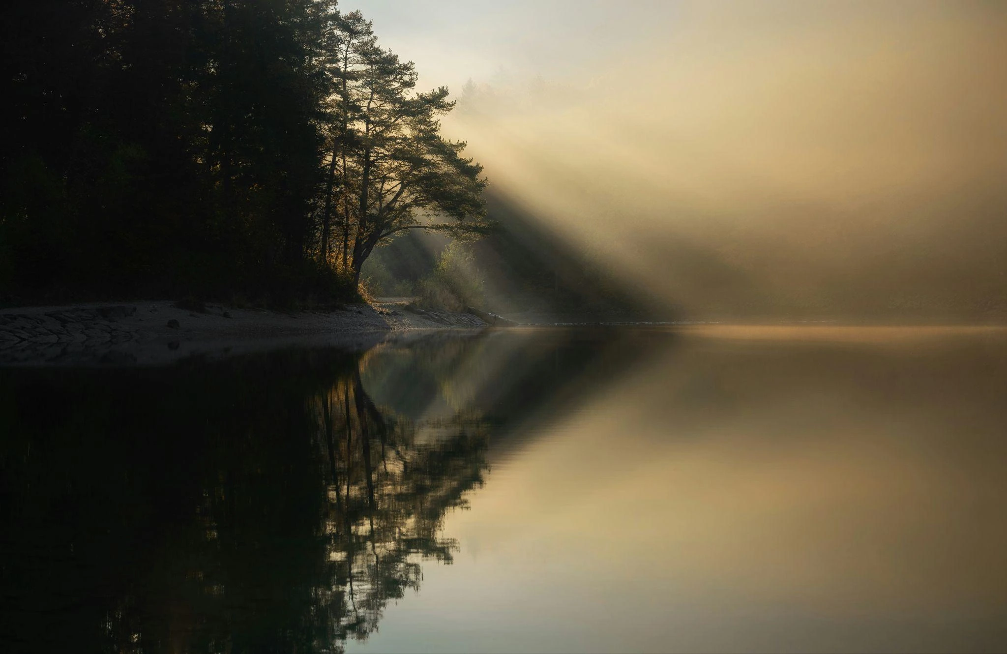 Calm body of water with sun seeping through
