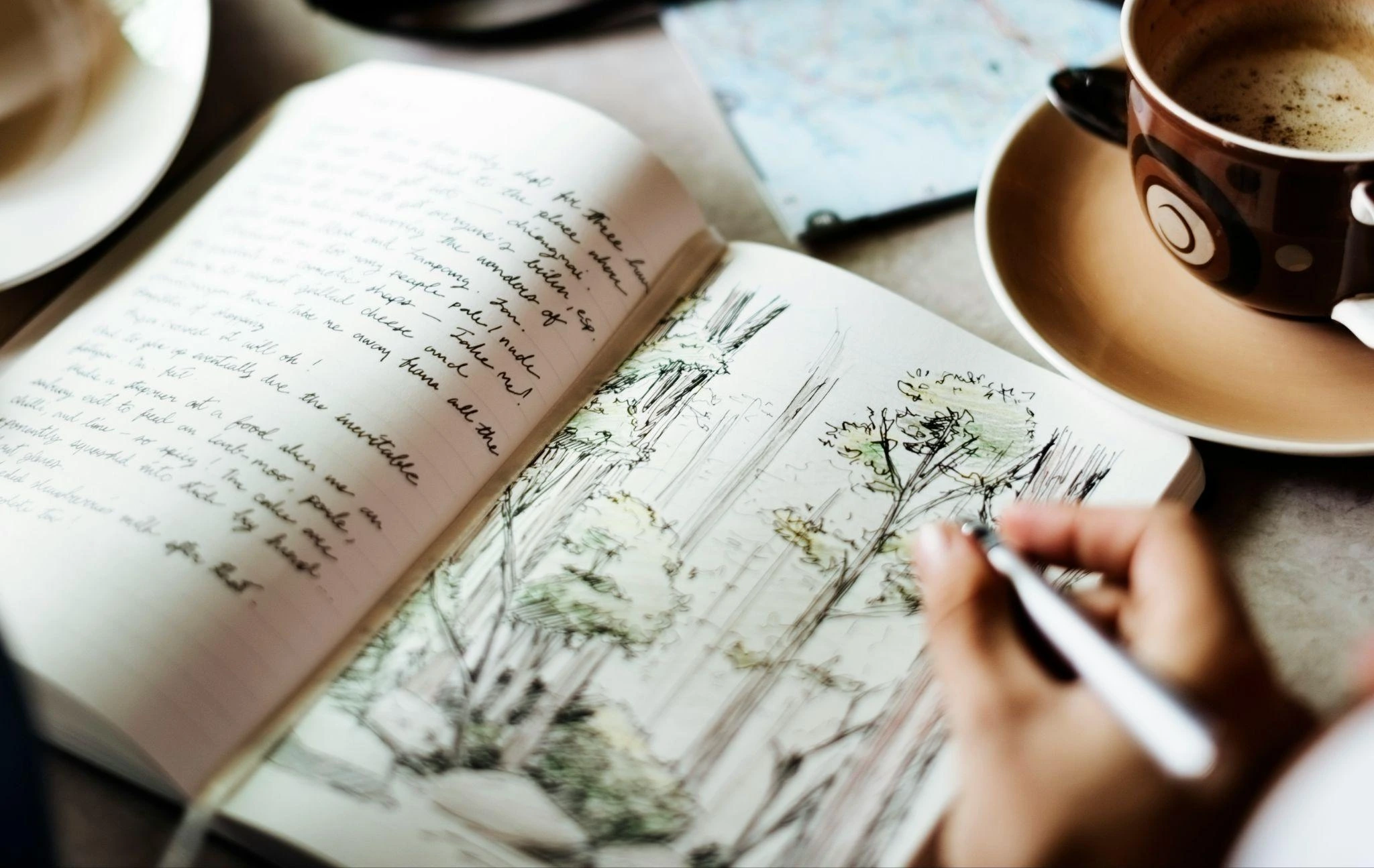 Someone journaling and drawing the forest
