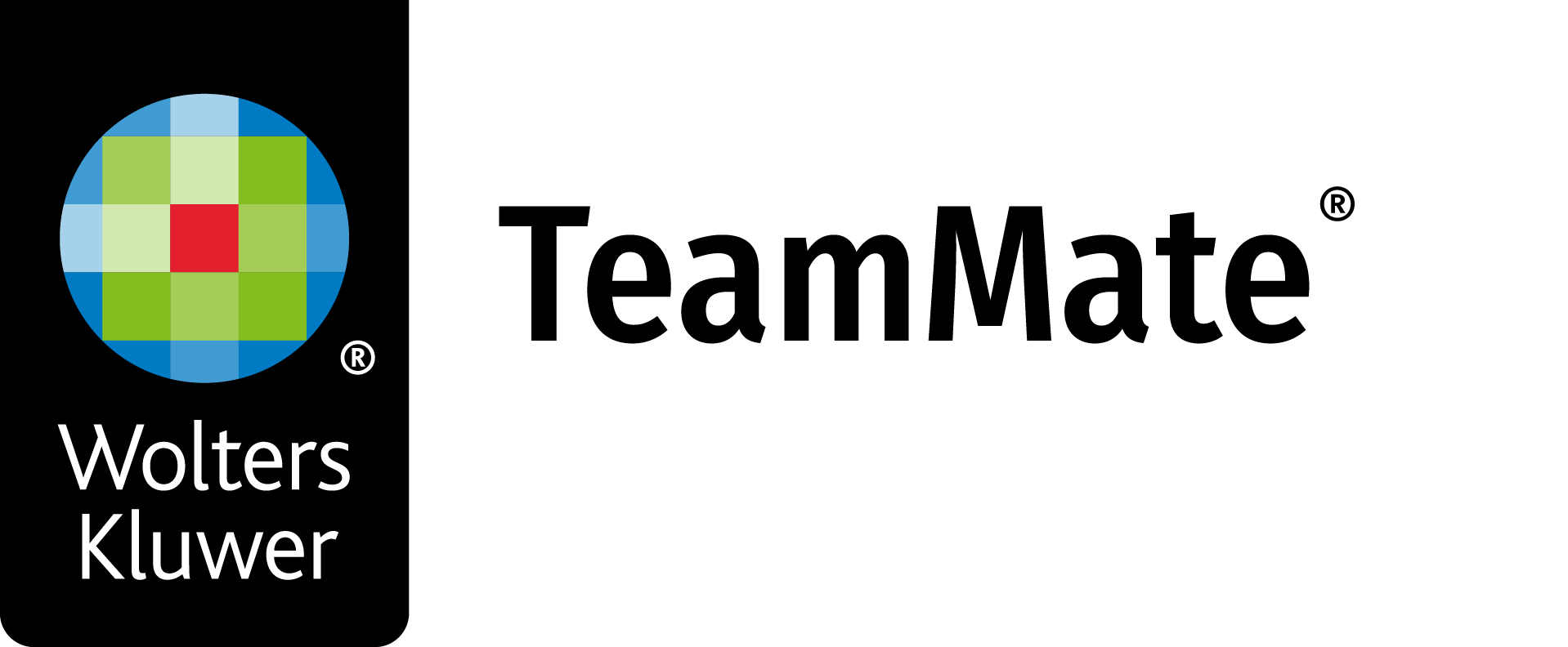 Team Mate Logo